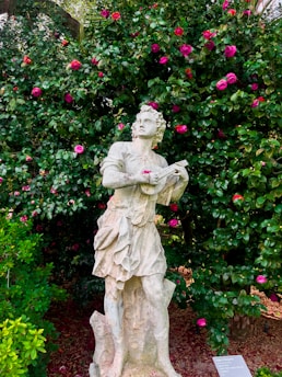 A classical stone statue of a person playing a musical instrument is set against a backdrop of lush green foliage and vibrant pink flowers. The figure appears to be wearing period clothing with intricate details. The surrounding garden is well-maintained, with various shades of green and pink adding to the visual richness.
