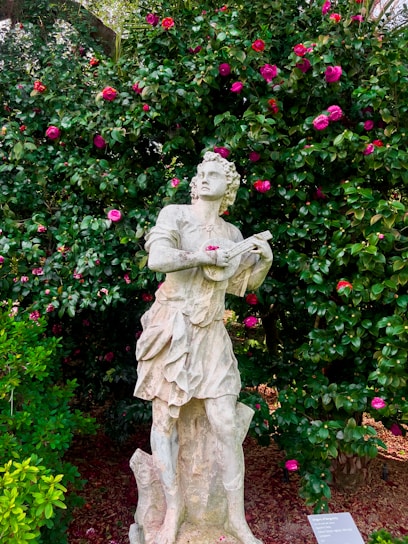 A classical stone statue of a person playing a musical instrument is set against a backdrop of lush green foliage and vibrant pink flowers. The figure appears to be wearing period clothing with intricate details. The surrounding garden is well-maintained, with various shades of green and pink adding to the visual richness.