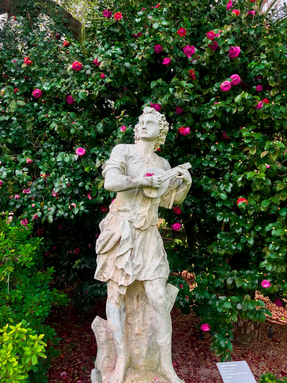 a statue of a man standing in front of a bush