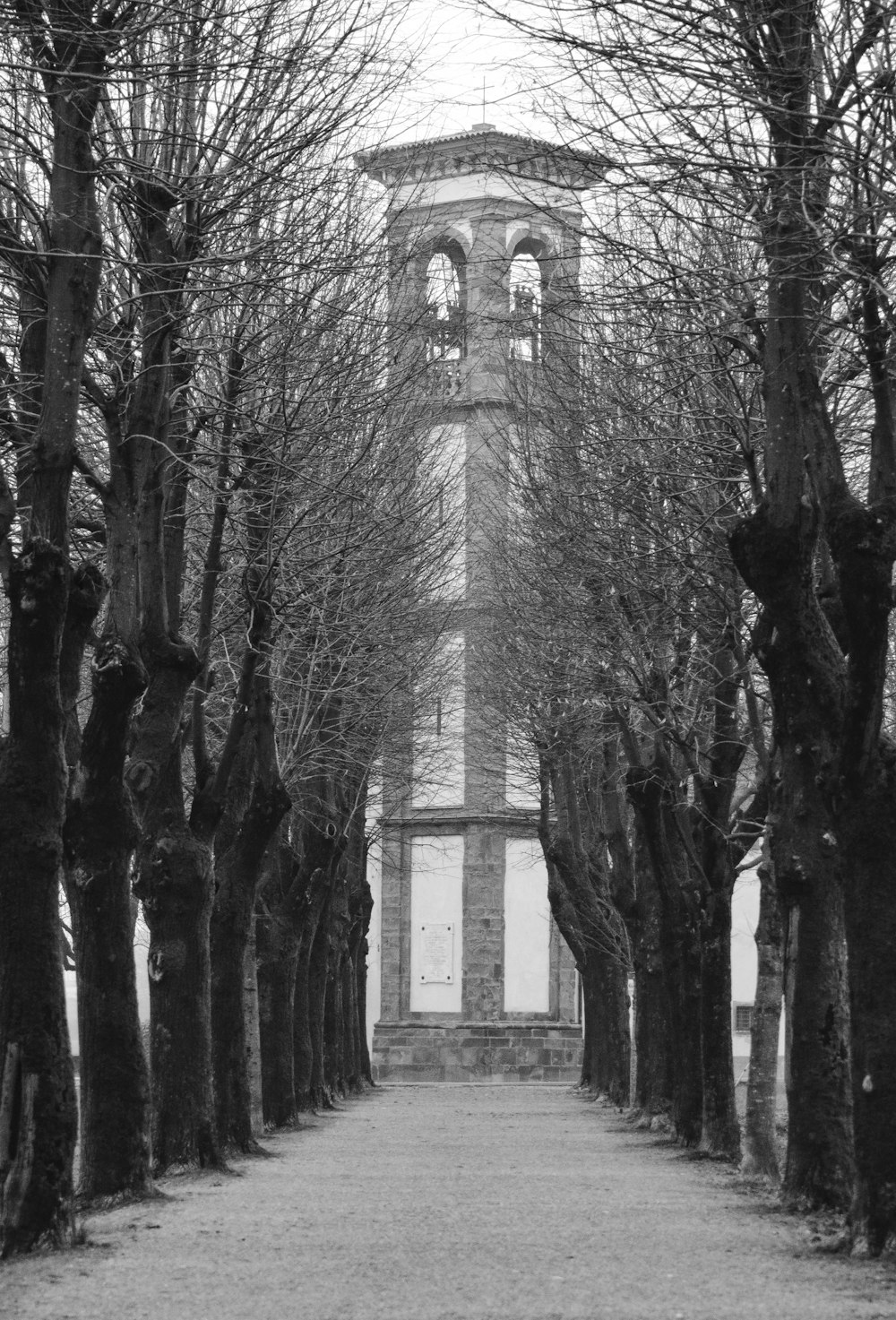 a black and white photo of a tree lined path