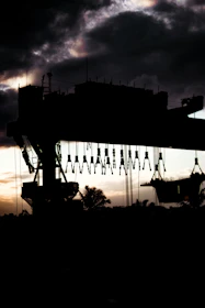 A towering crane poised to lift heavy loads against a tropical backdrop.