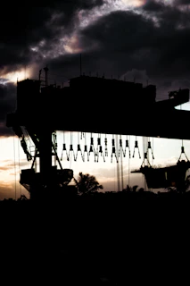 A towering crane poised to lift heavy loads against a tropical backdrop.