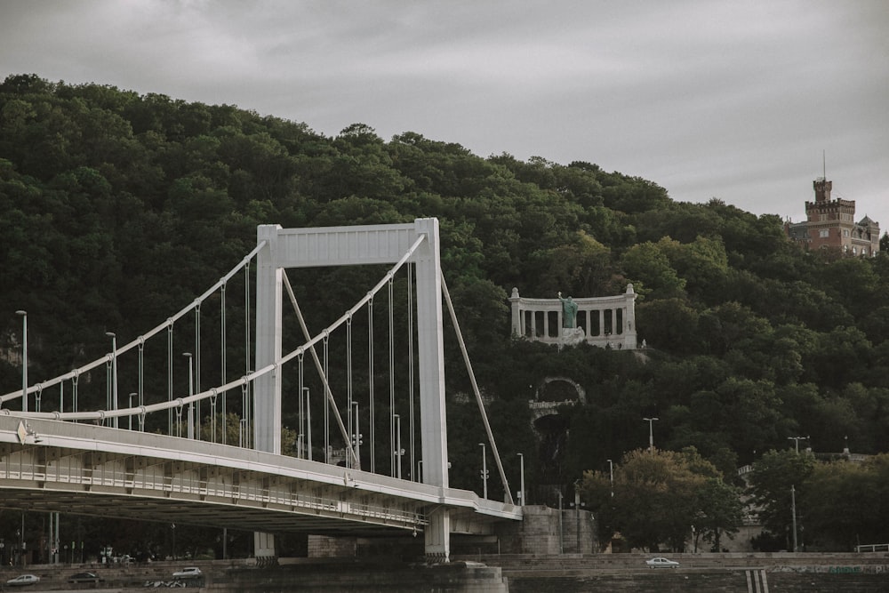 a large bridge over a body of water