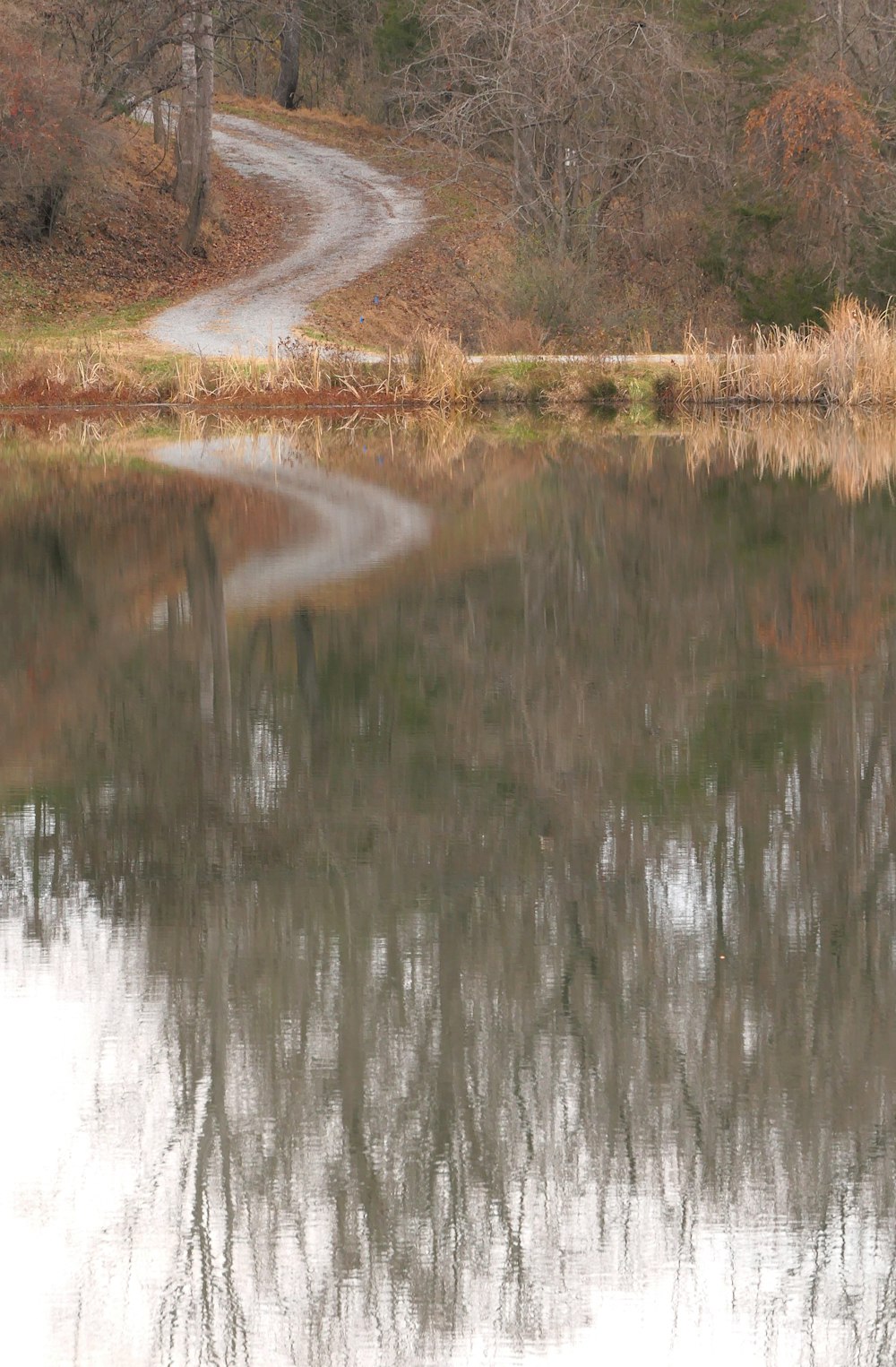 a large body of water with trees in the background