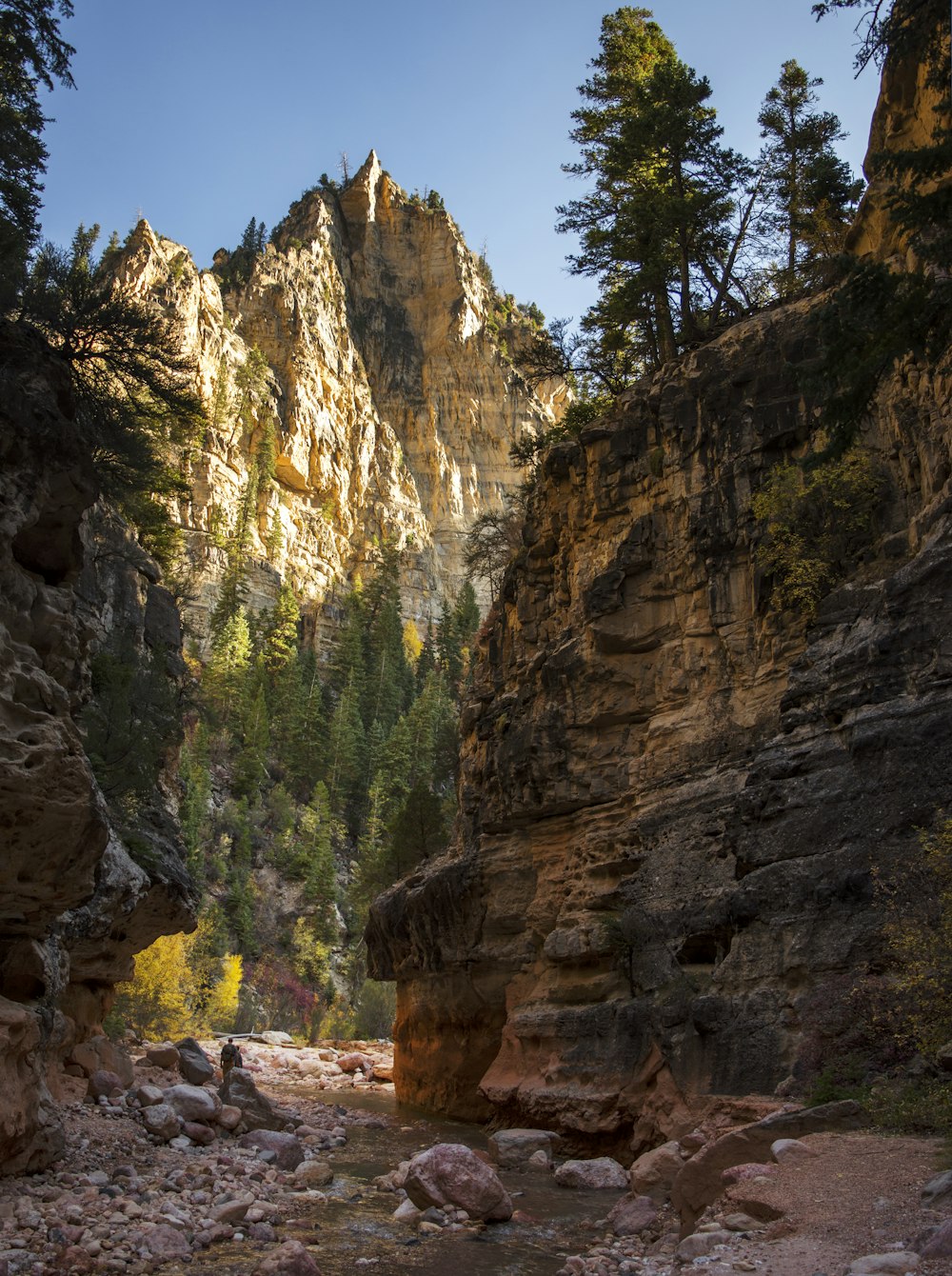 a river running through a canyon surrounded by trees