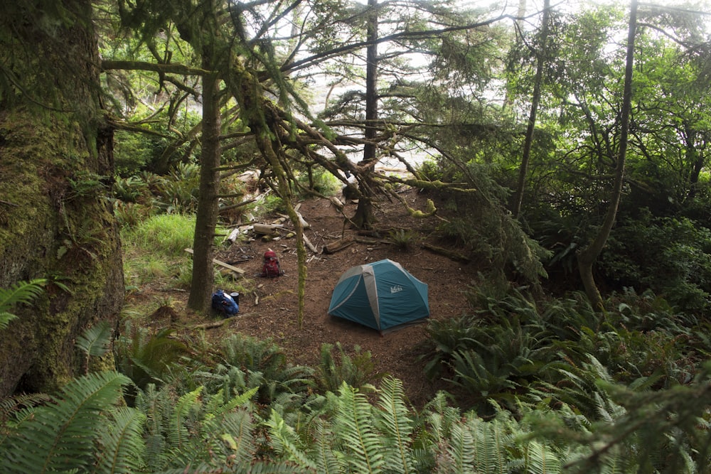 a blue tent sitting in the middle of a forest