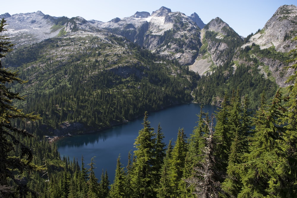 Una vista de un lago de montaña rodeado de pinos