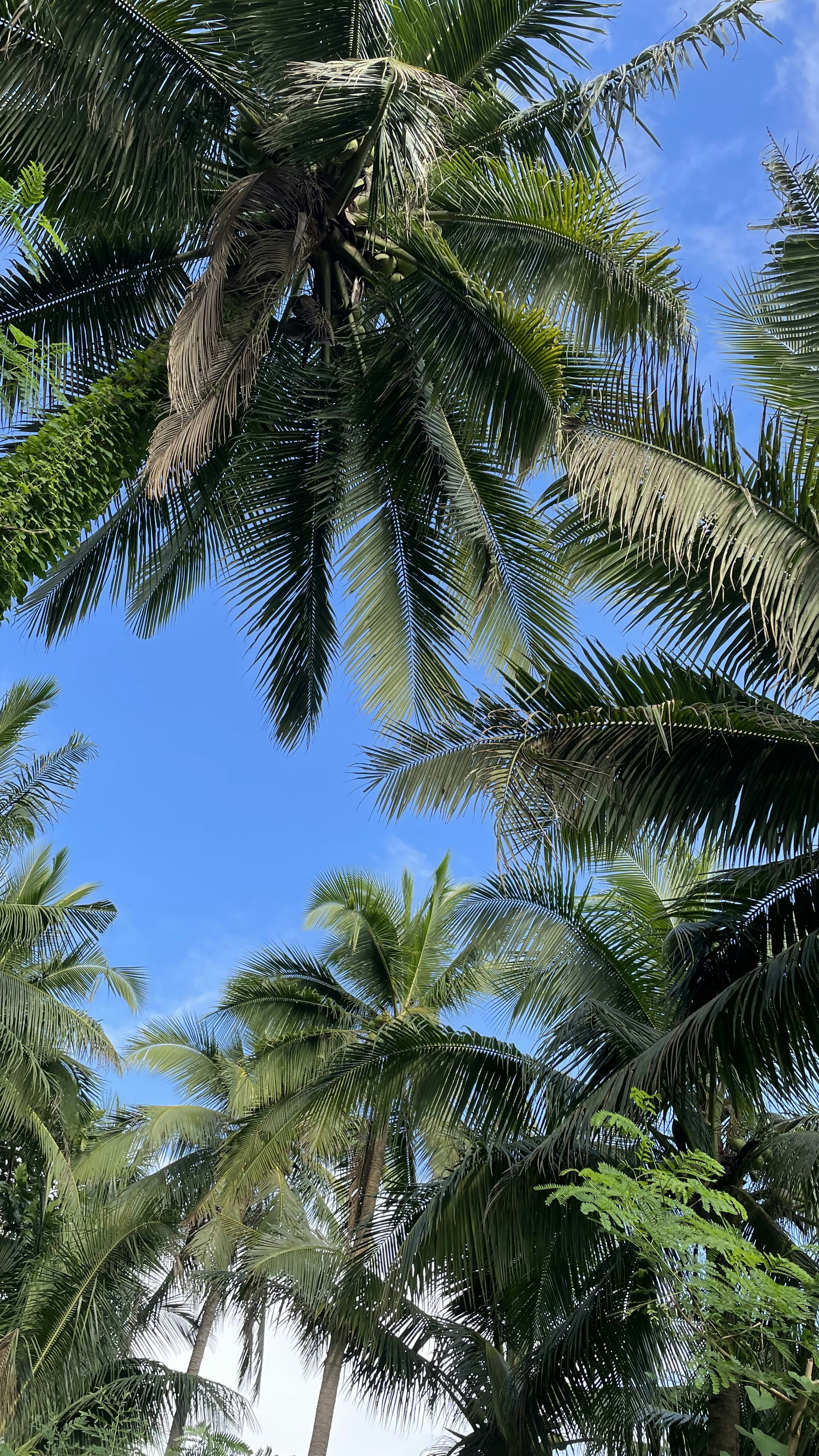 Photo by joanna1990_montanez