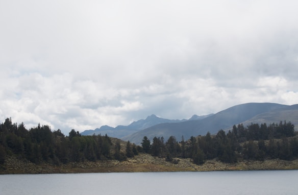 A serene landscape featuring a wide expanse of calm water in the foreground, bordered by lush green trees. In the distance, a range of mountains rises under a cloudy sky, casting a tranquil and introspective atmosphere.