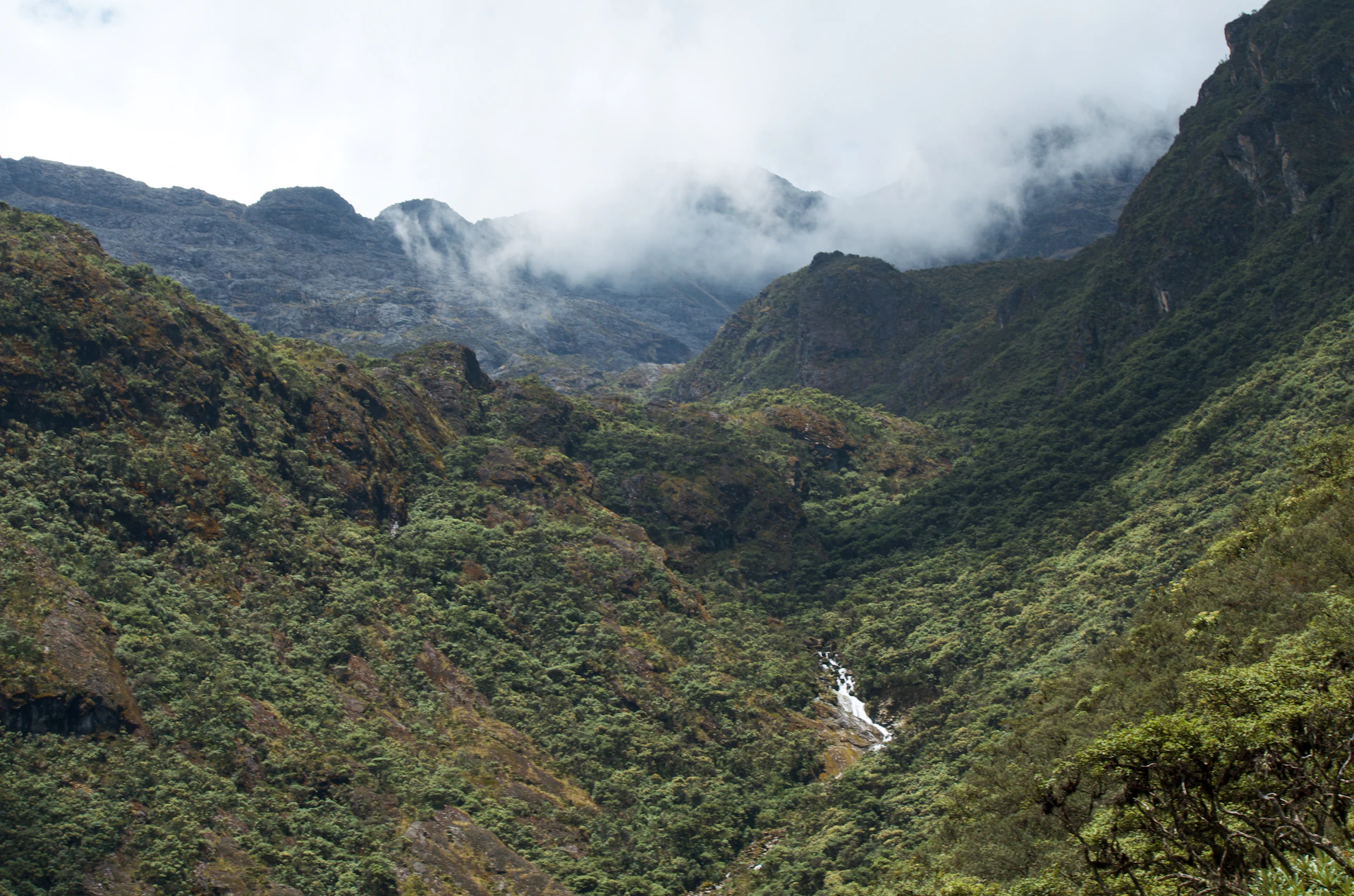 woman wearing yellow long-sleeved dress under white clouds and blue sky during daytime