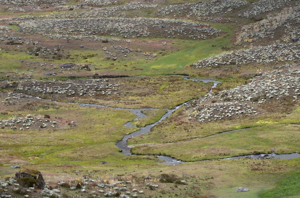 a stream running through a lush green valley