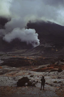 A rugged prehistoric landscape under a cold, gray sky, with a lone figure standing near a flickering campfire.