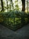A green metal fence encloses a raised garden area filled with dense, leafy vegetation. Sunlight filters through the surrounding tall trees, casting dappled shadows on the ground. The overall setting appears to be a serene and secluded part of a forest or park.
