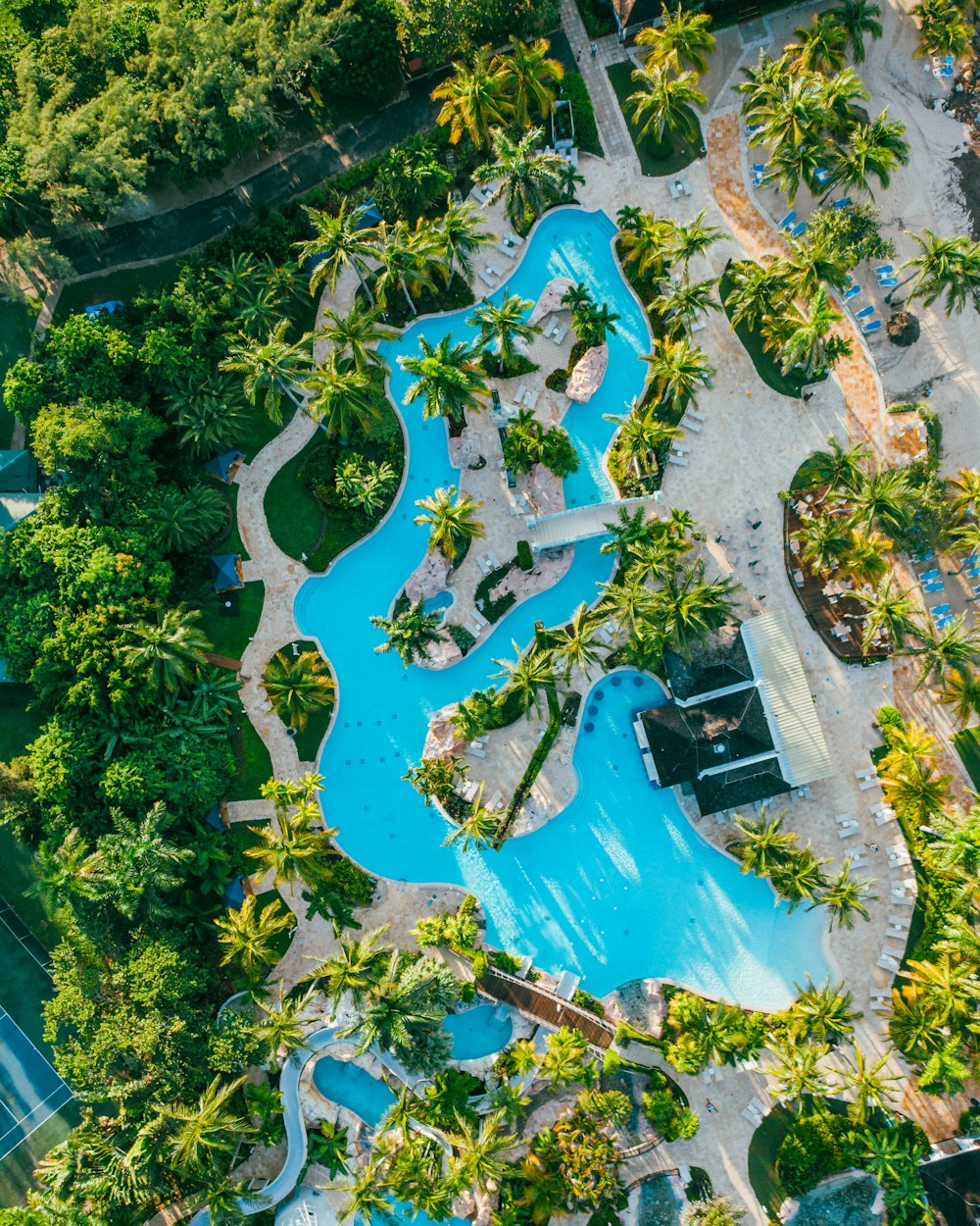 an aerial view of a pool surrounded by palm trees