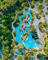 An aerial view of a resort-style swimming pool surrounded by lush greenery and palm trees. The pool features winding shapes and is bordered by sun loungers and pathways. There are several buildings, possibly poolside bars or cabanas, integrated harmoniously into the landscape.