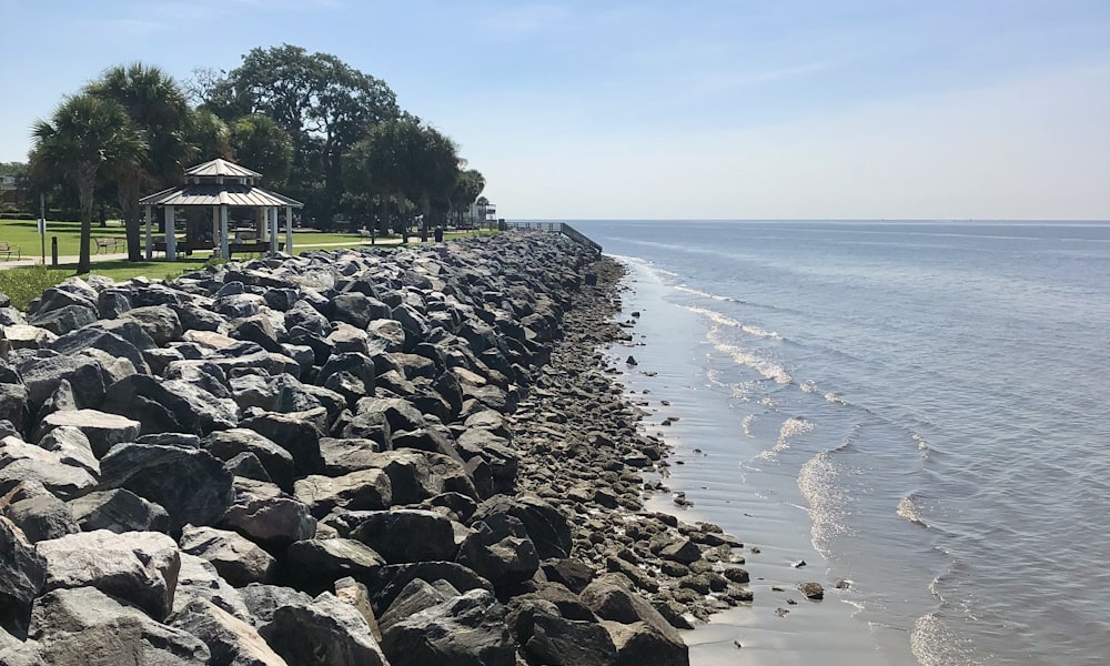 a large body of water next to a rocky shore