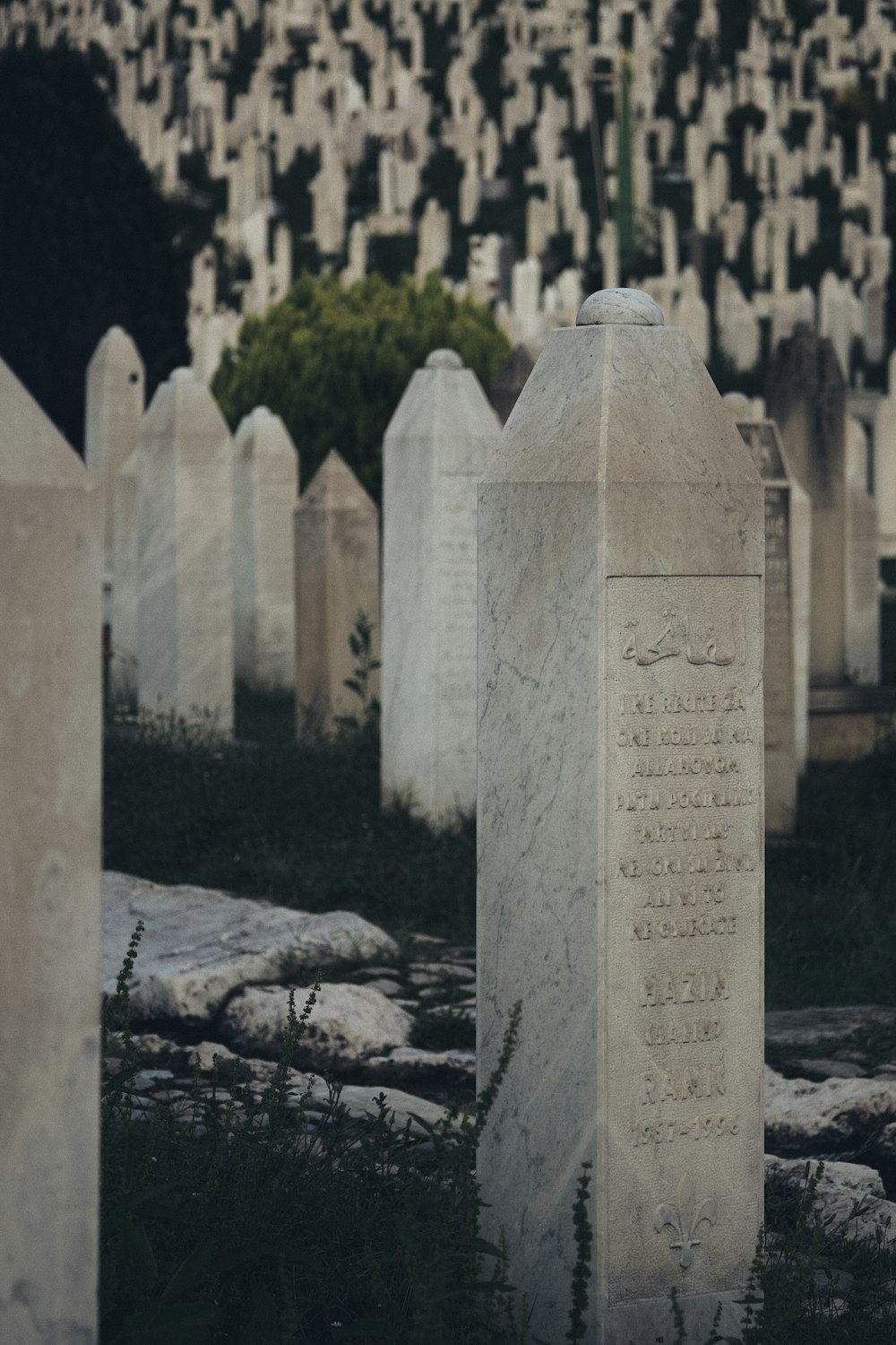 a cemetery with headstones and trees in the background