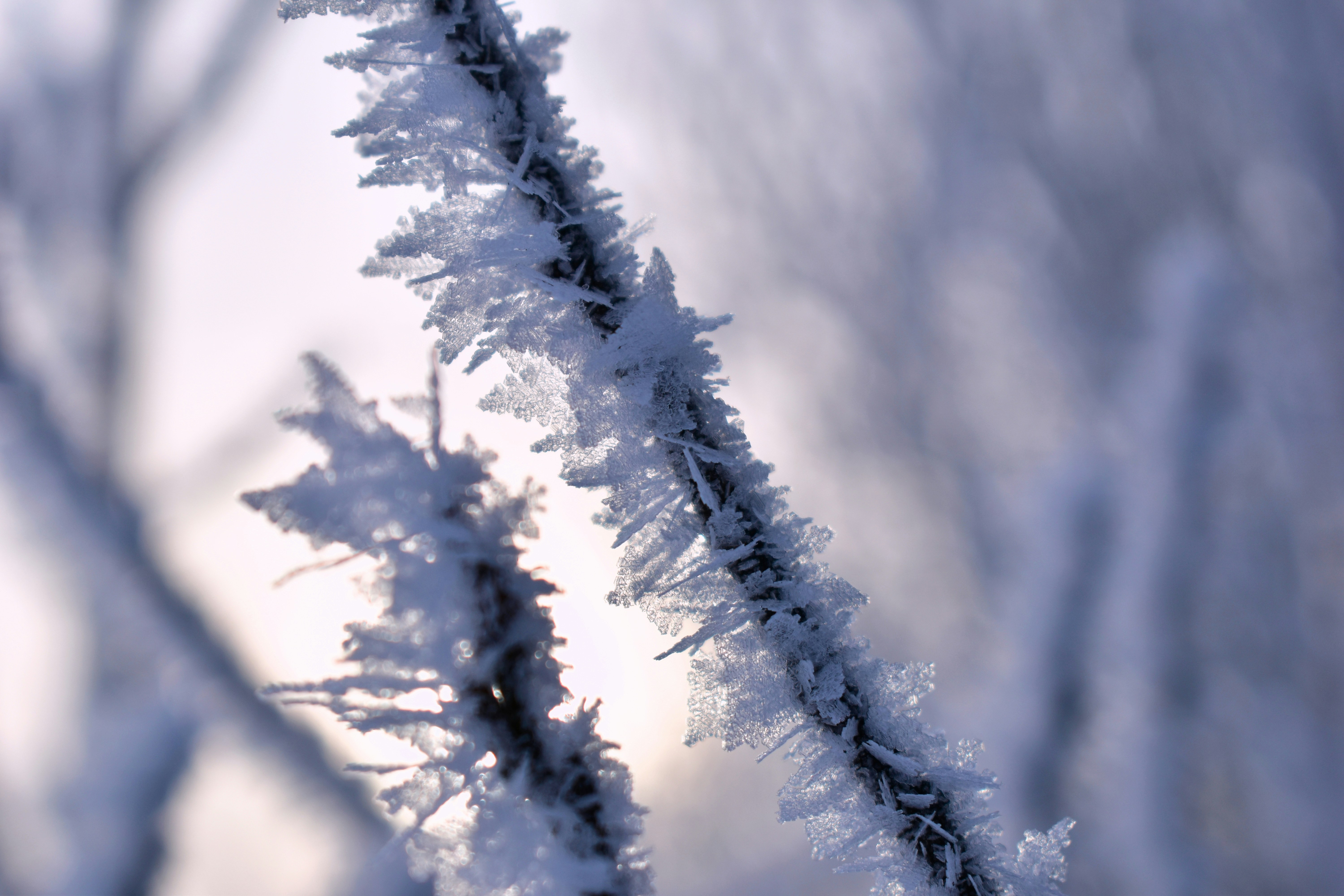 Photo by polina_grishma