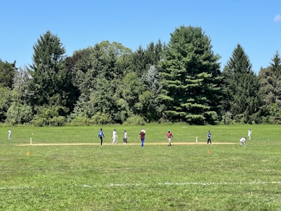 Individuals are playing cricket on a grassy field surrounded by tall, lush green trees under a clear blue sky. The scene conveys an outdoor sporting activity, with players possibly in positions related to the game. Bright sunlight casts soft shadows, and the grass is well-maintained, indicating a park or recreational area.