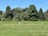Individuals are playing cricket on a grassy field surrounded by tall, lush green trees under a clear blue sky. The scene conveys an outdoor sporting activity, with players possibly in positions related to the game. Bright sunlight casts soft shadows, and the grass is well-maintained, indicating a park or recreational area.