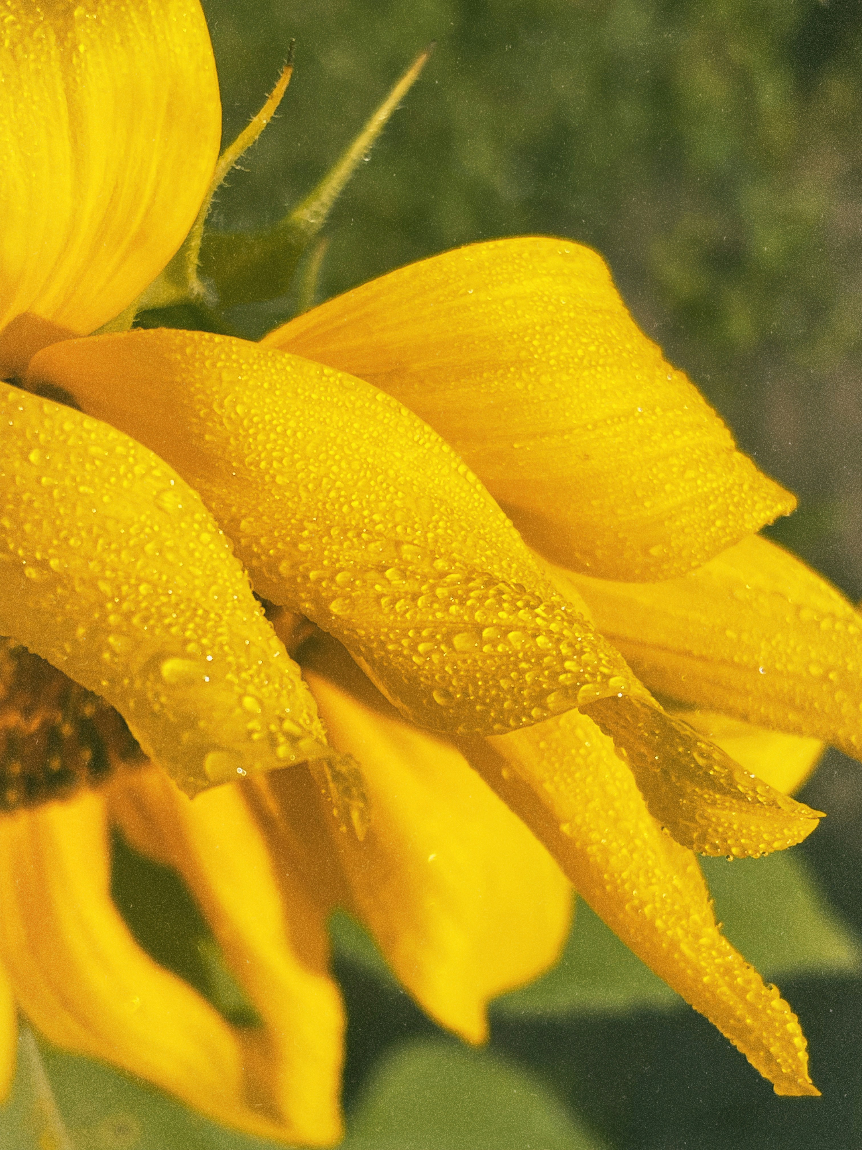 Photo by inna_lobacheva