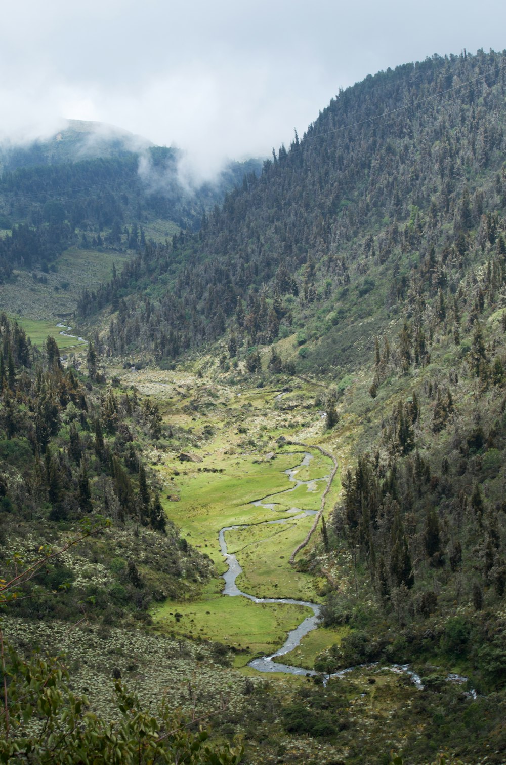 a valley with a stream running through it