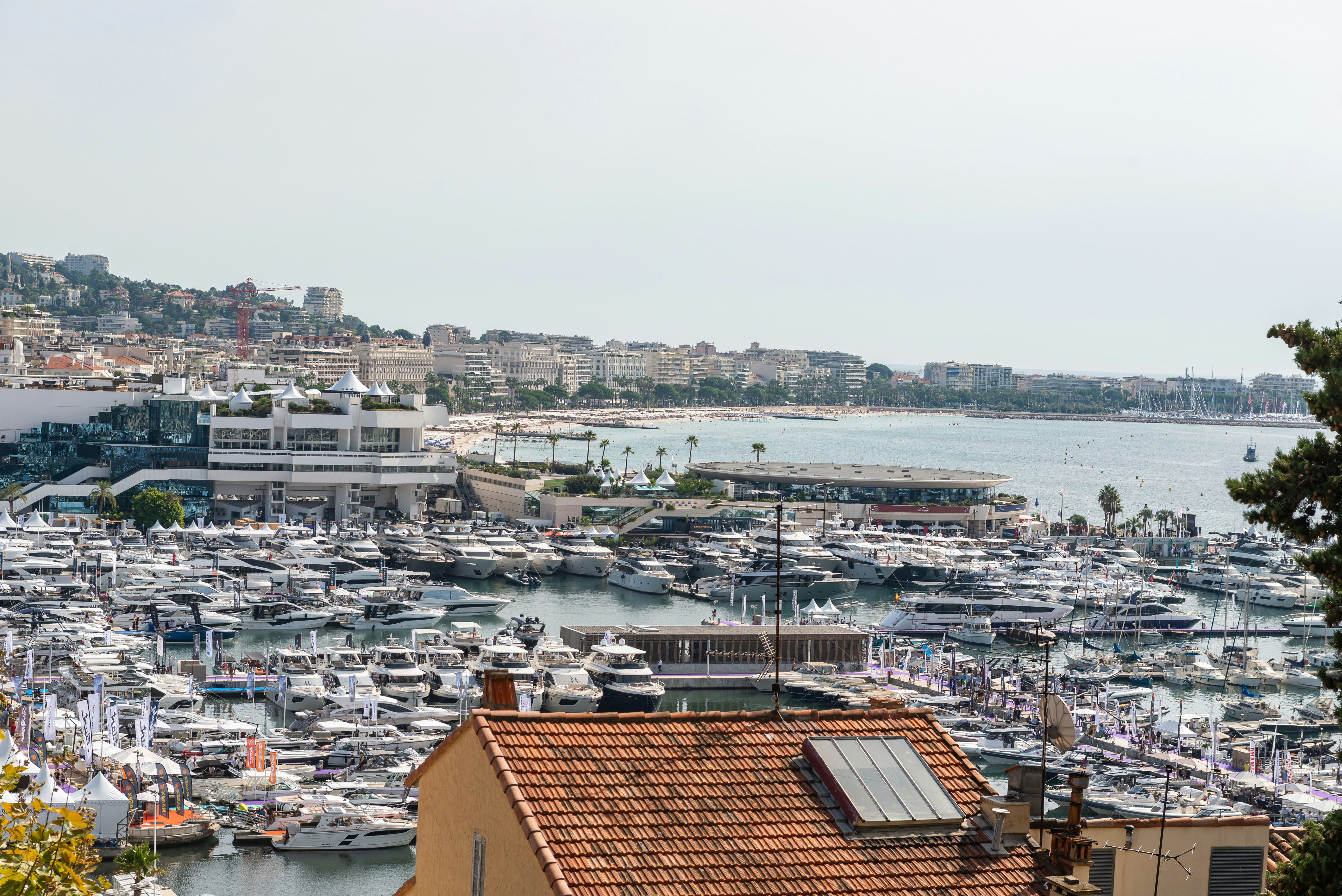 Photo by nikonprophoto