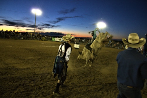 In a rodeo arena during sunset, a cowboy rides a bucking bull while two other cowboys, both wearing hats, observe nearby. The arena is dimly lit by bright floodlights, and a crowd watches from the stands in the background.