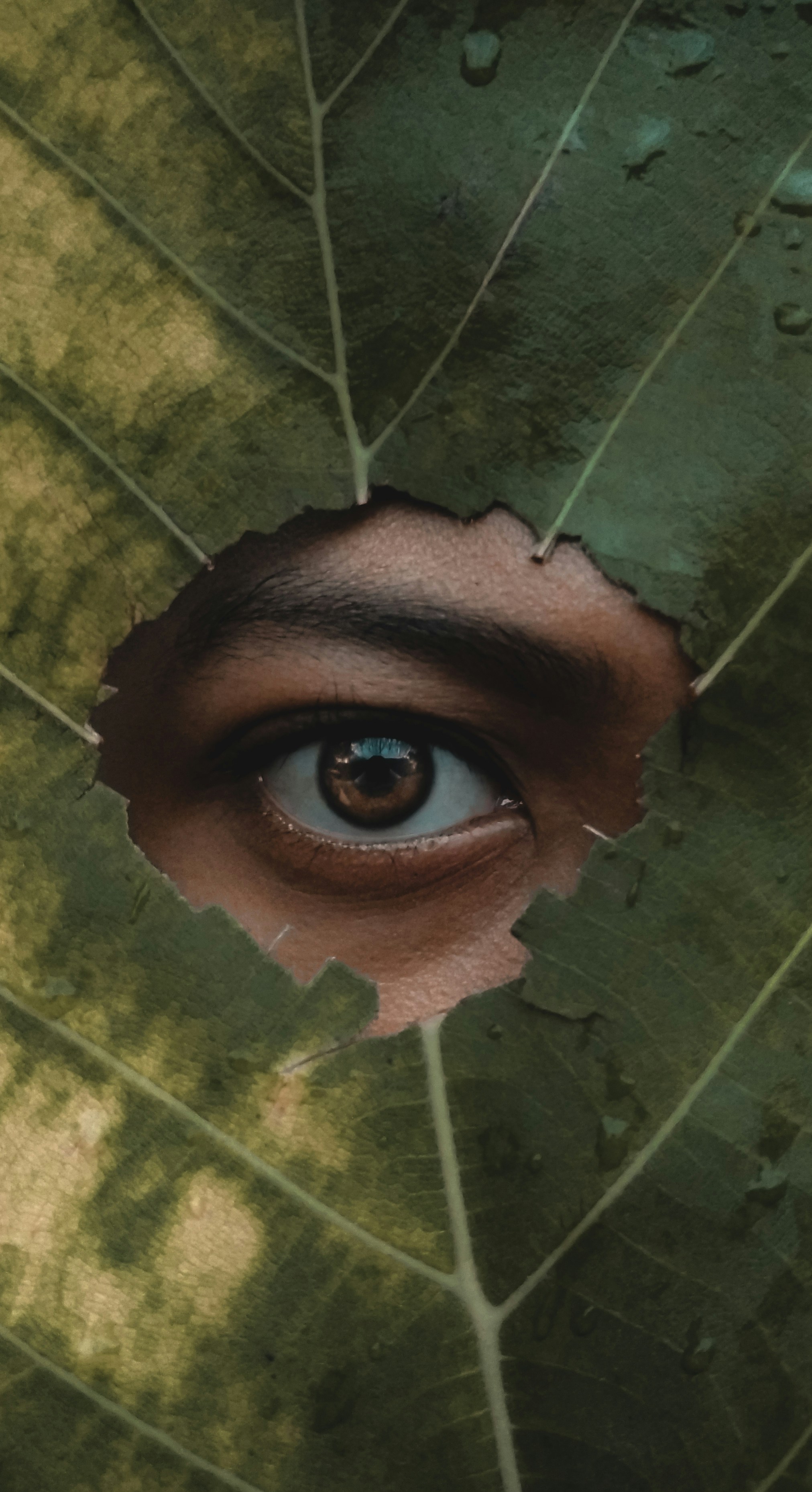 Les larmes ont-elles un rôle apaisant ?