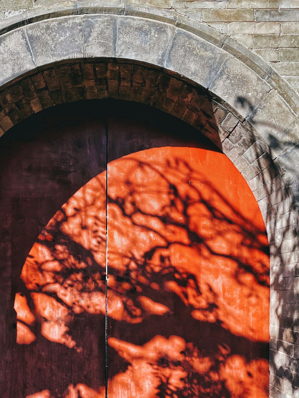 a red door with a tree casting a shadow on it