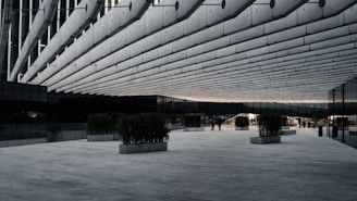 A modern architectural space features a large overhanging structure with parallel lines creating an imposing canopy effect. Beneath the structure, a wide, open plaza is visible, lined with rectangular concrete planters, each containing green shrubs. The area is mostly empty except for a few people walking in the distance. The design is sleek and minimalistic, with a monochromatic color scheme.