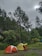 A happy camper setting up a tent in a lush green forest.