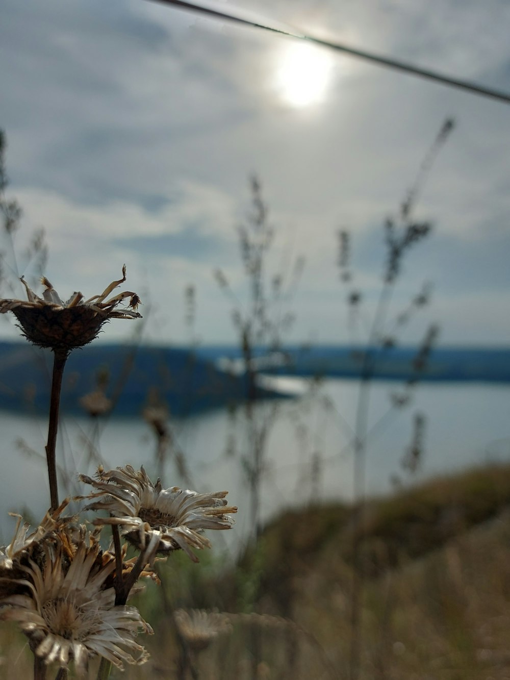 the sun is shining over a body of water