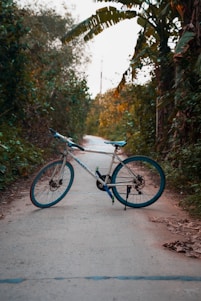 A scenic view of a bicycle path surrounded by greenery and trees.