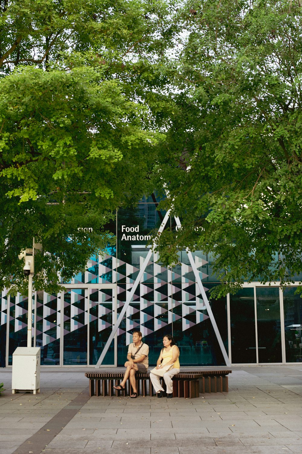 two people sitting on a bench under a tree