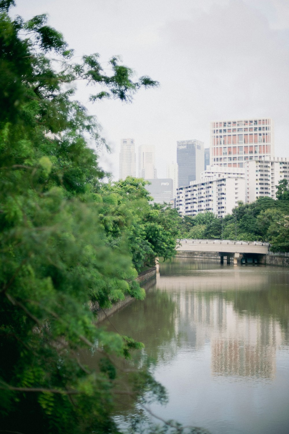 a body of water surrounded by trees and tall buildings