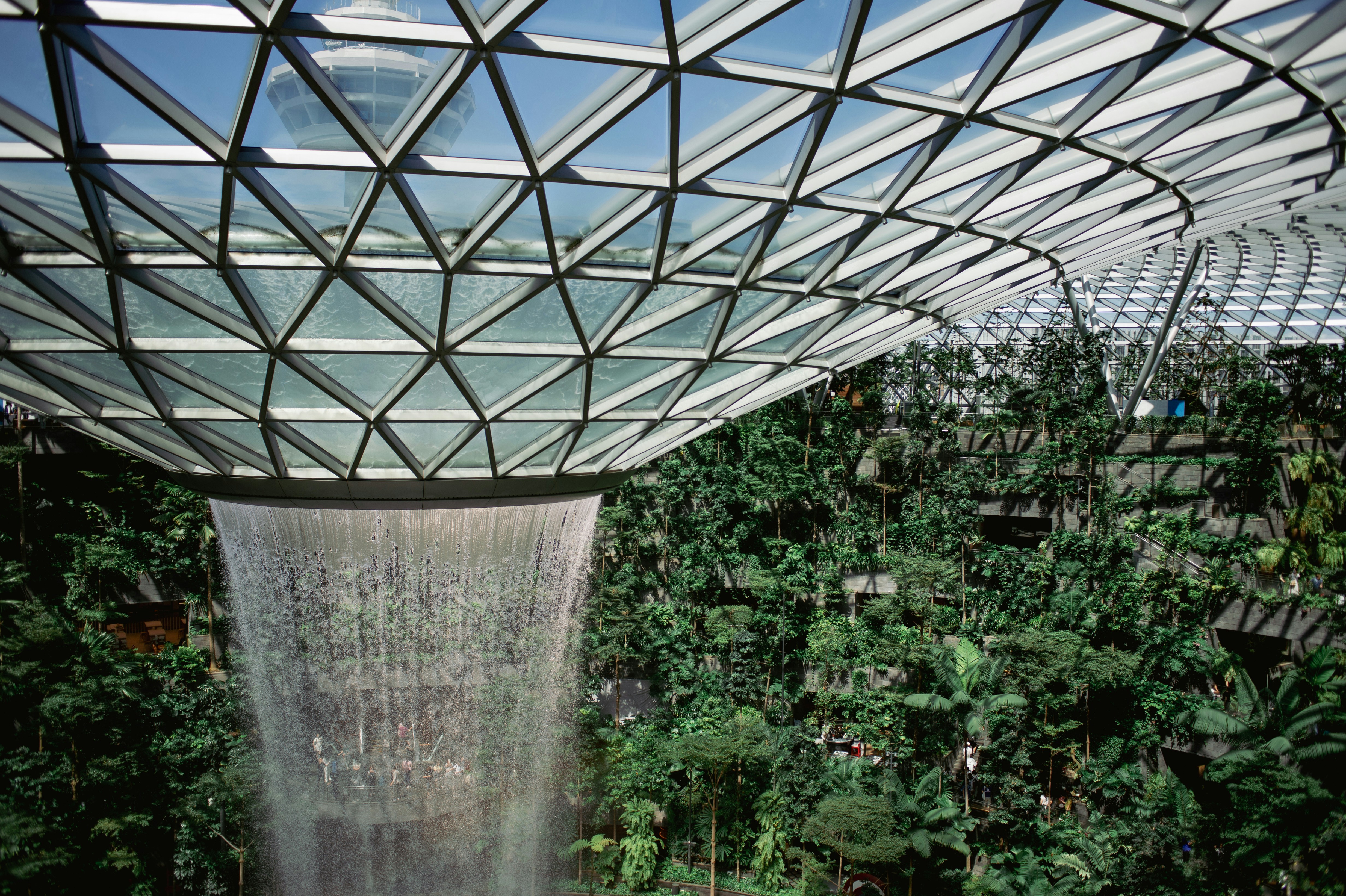 a waterfall in the middle of a tropical garden