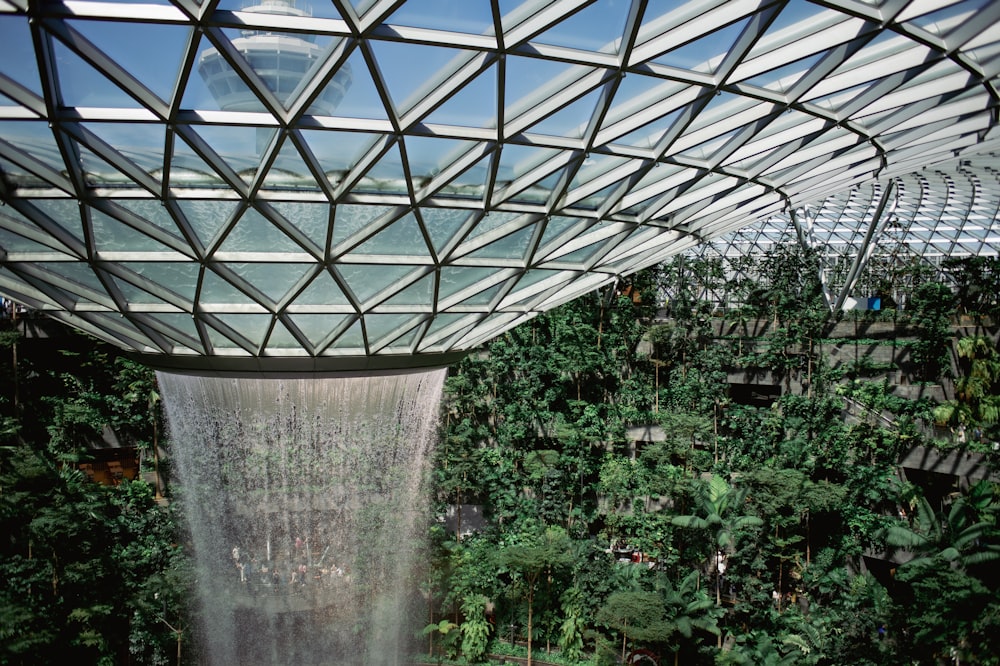 a waterfall in the middle of a tropical garden