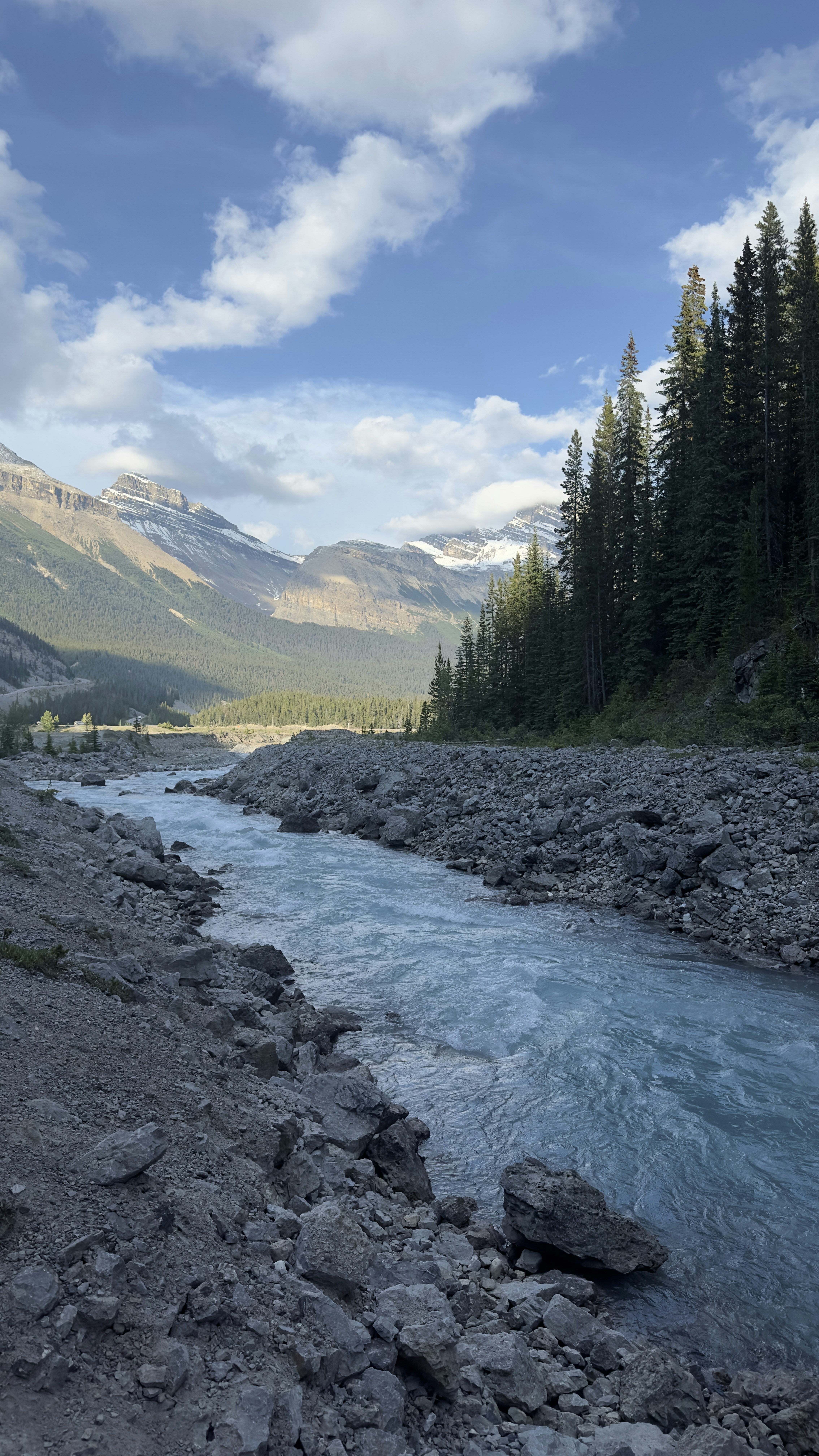 a river running through a lush green forest