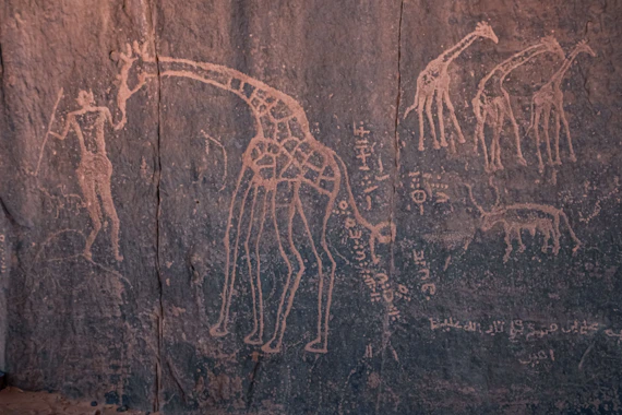 a rock painting of giraffes and other animals