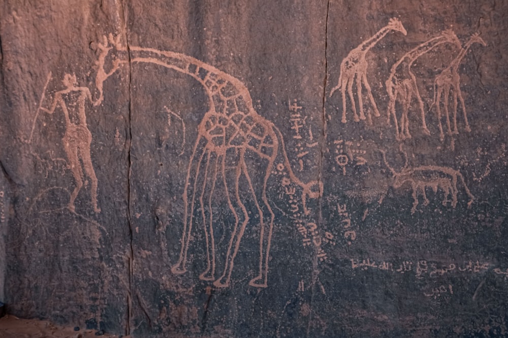 a rock painting of giraffes and other animals