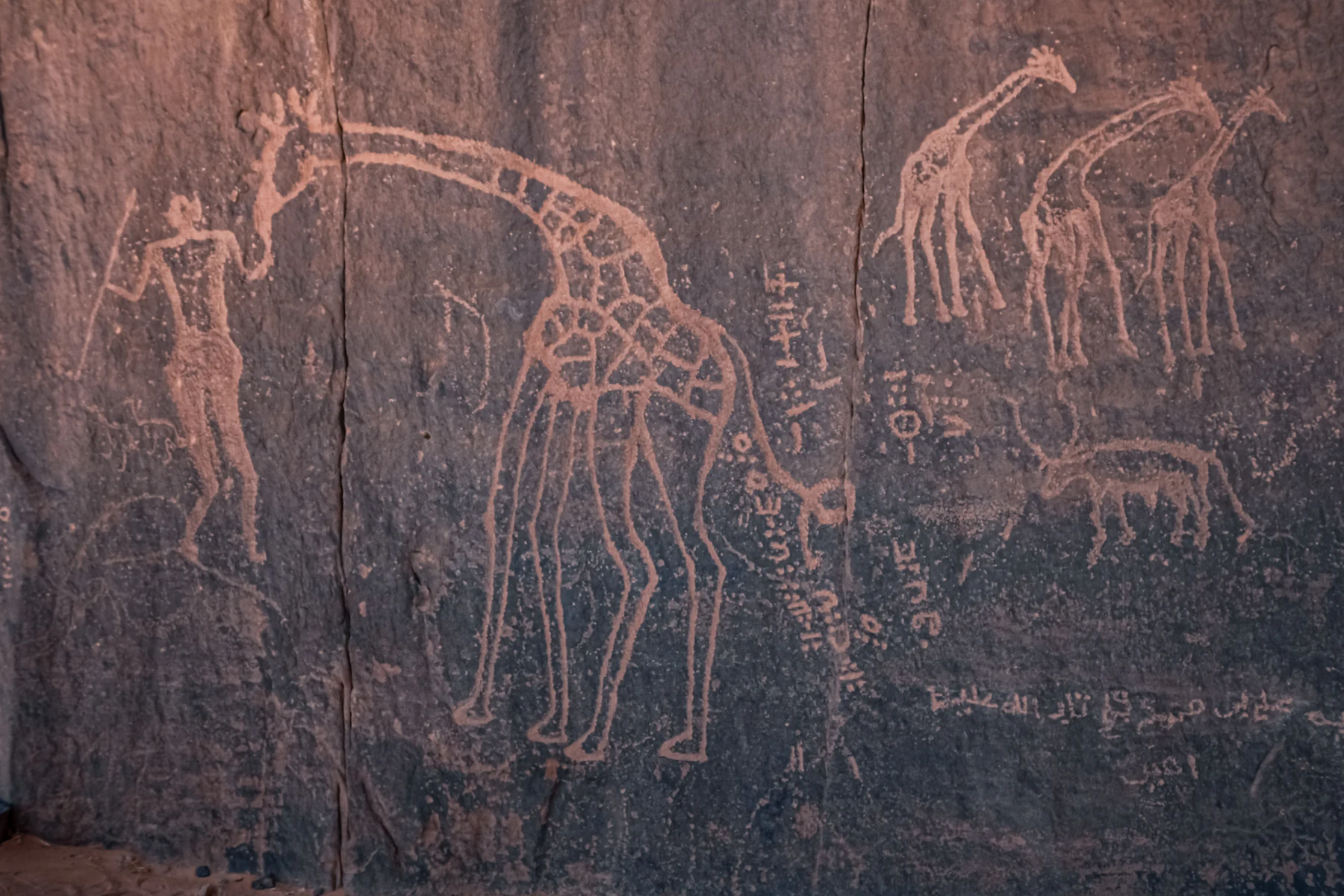 Leer el arte rupestre del Tassili n'Ajjer