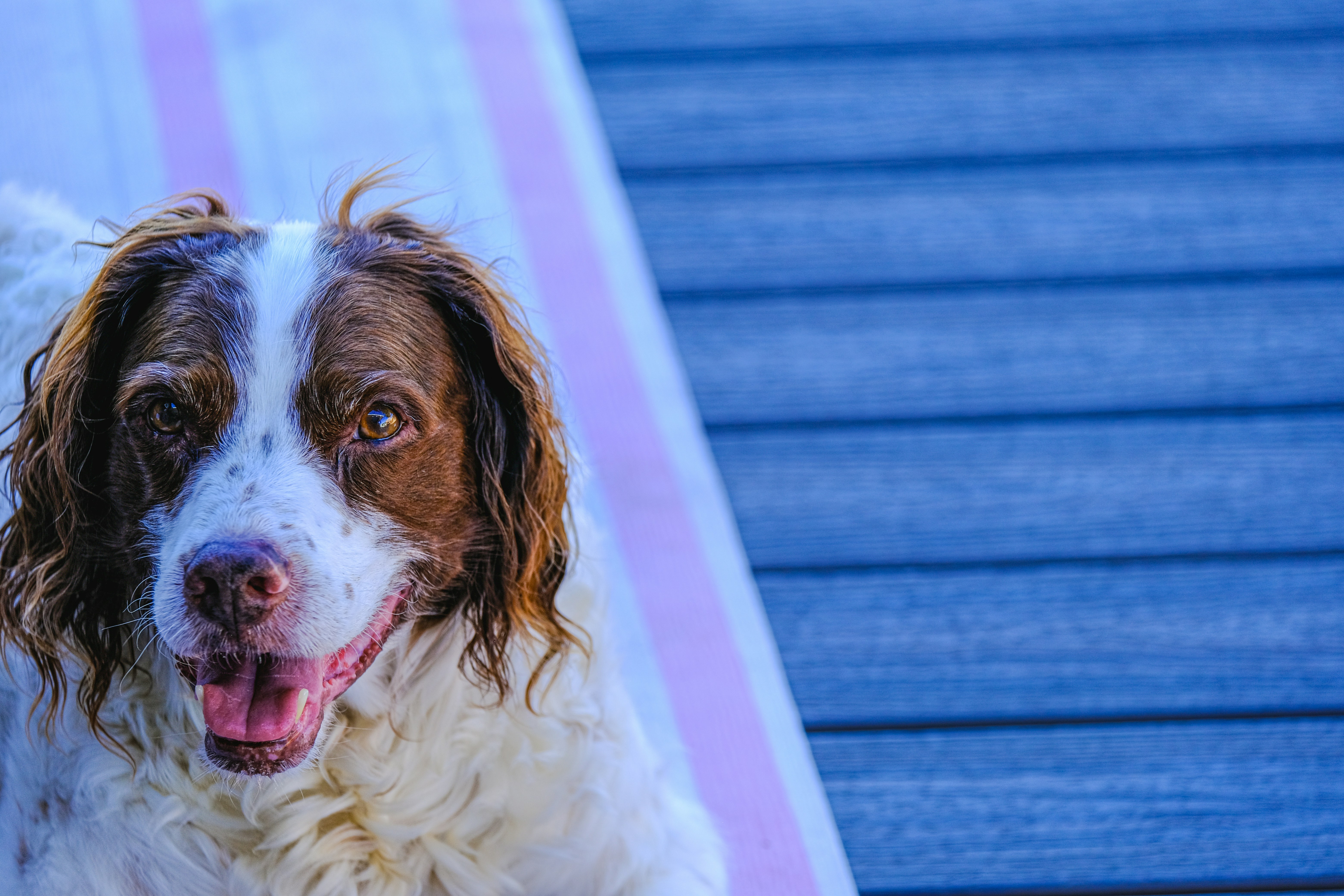 Photo by cestmoisheedy