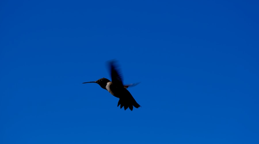 a bird flying through a blue sky with its wings spread