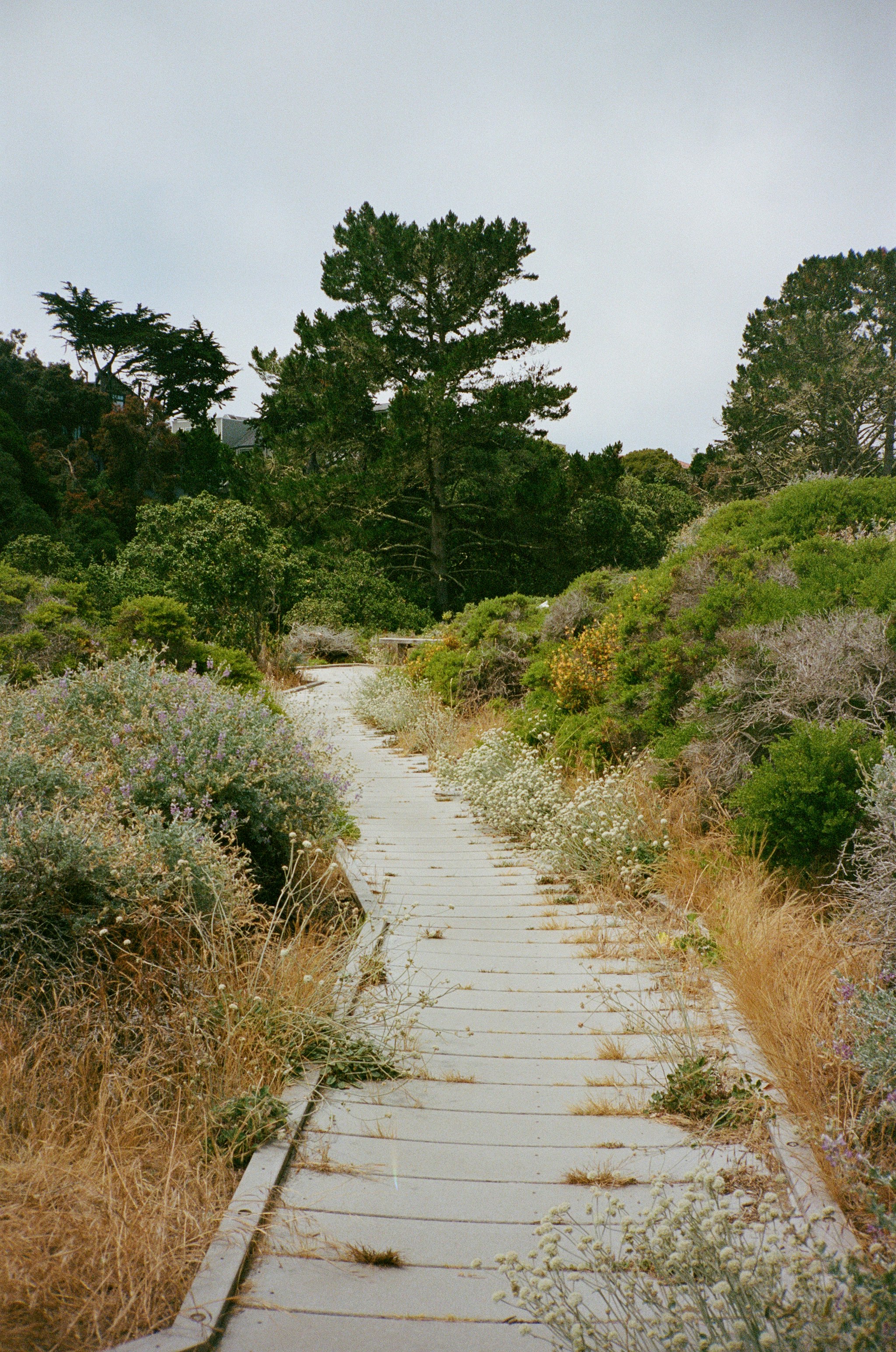 Photo by alexandraellis