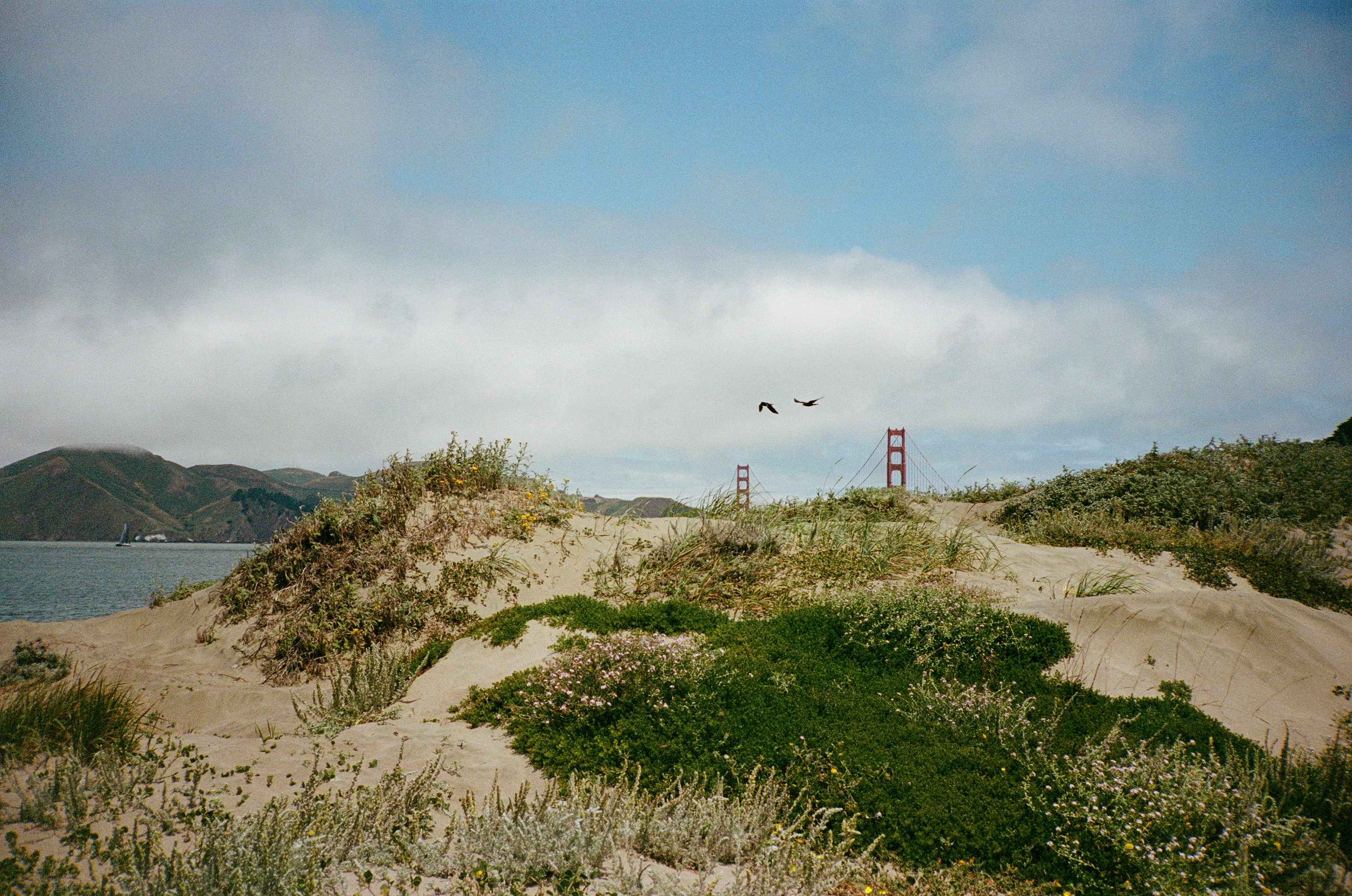 a view of the golden gate bridge from the sand dunes