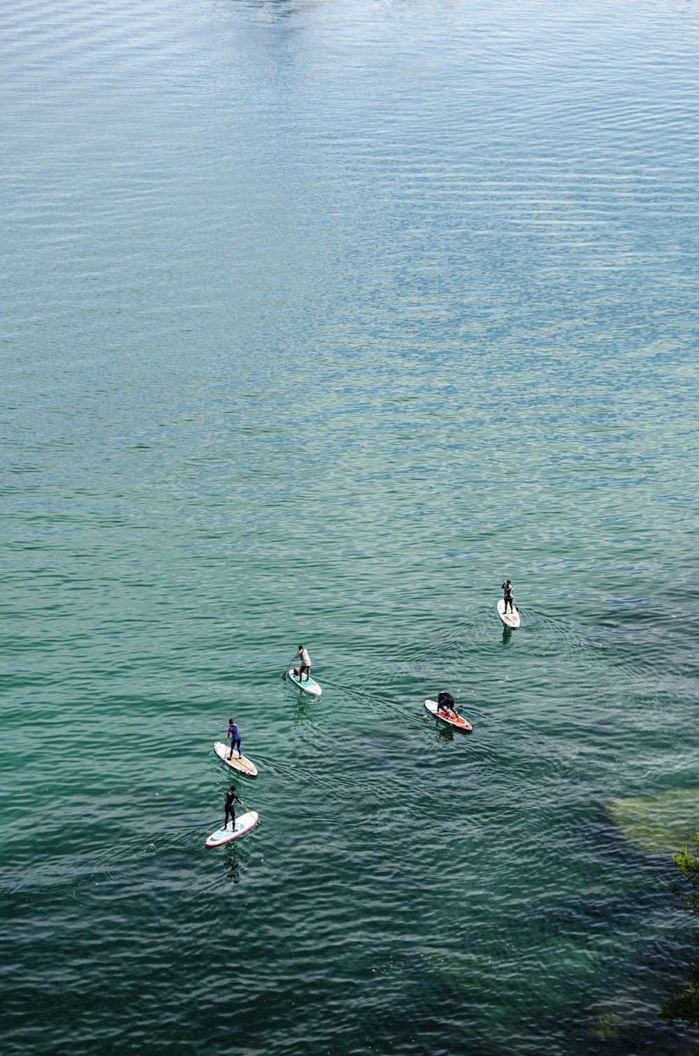 a group of people riding surfboards on top of a body of water