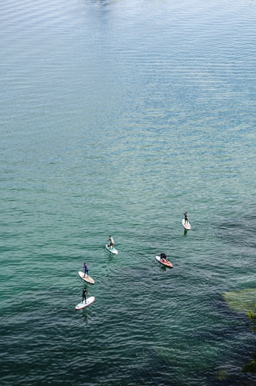 Several people are paddleboarding on a calm, expansive body of water. The water has a light green and blue hue, reflecting the sky above. The paddleboarders are spaced out evenly, enjoying a serene outdoor activity.