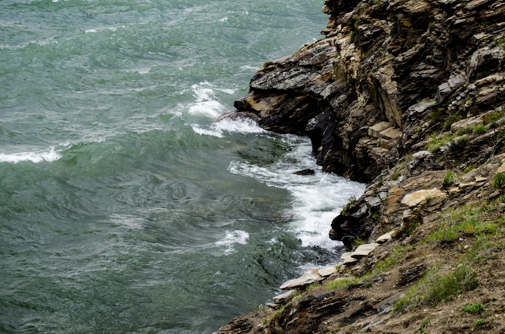 a bird is perched on the edge of a cliff