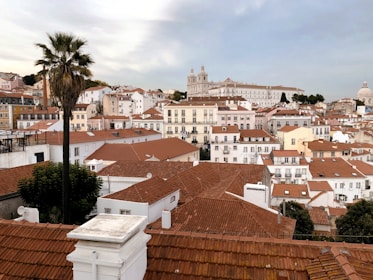 A picturesque view of a Mediterranean town with a collection of closely packed, white-washed buildings topped with reddish-brown tiled roofs. In the foreground, a tall palm tree stands amidst greenery. Rolling hills form the backdrop with an impressive historic building visible in the distance under a partly cloudy sky.